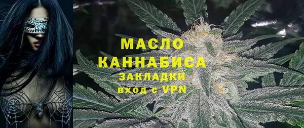 мдпв Бородино