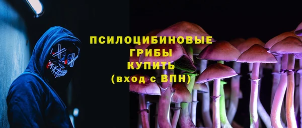 крисы Бронницы