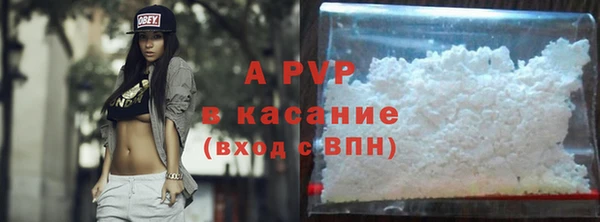 мдпв Бородино