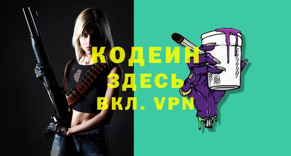 мдпв Бородино