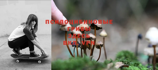 крисы Бронницы