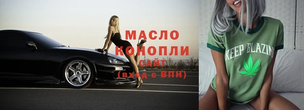 мдпв Бородино