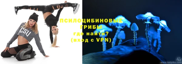мдпв Бородино