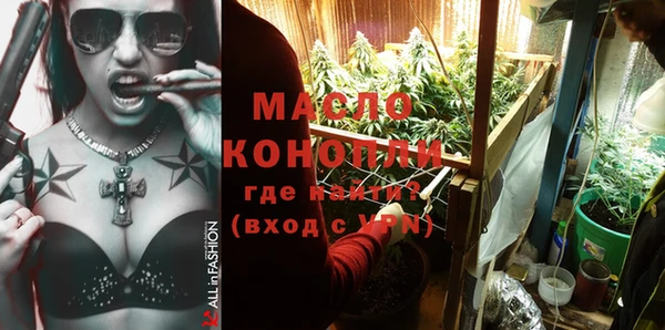 мдпв Бородино