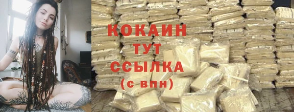мдпв Бородино