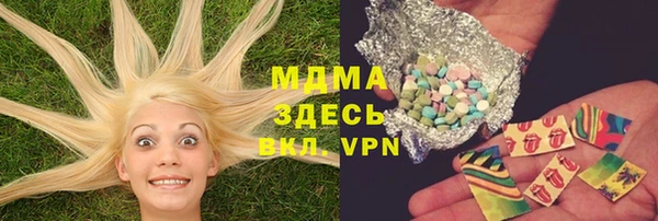 мдпв Бородино
