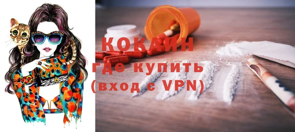 крисы Бронницы