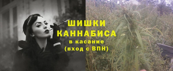 крисы Бронницы